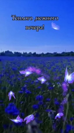 VID-20250507-WA1318