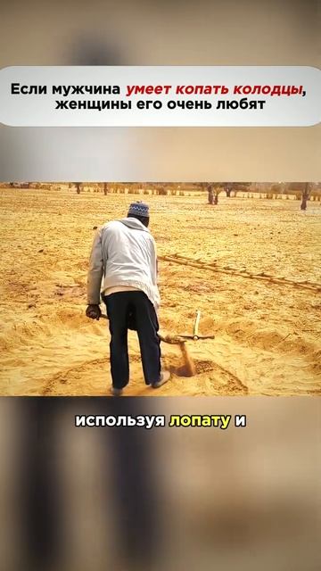 Если мужчина умеет копать колодцы, женщины его очень л