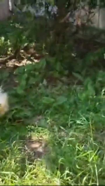 12 июля 2024 г. смотреть онлайн