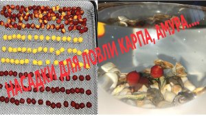 ПОП-АПЫ, БОЙЛЫ СВОИМИ РУКАМИ.  НАСАДКИ ДЛЯ ЛОВЛИ КАРПА, АМУРА….