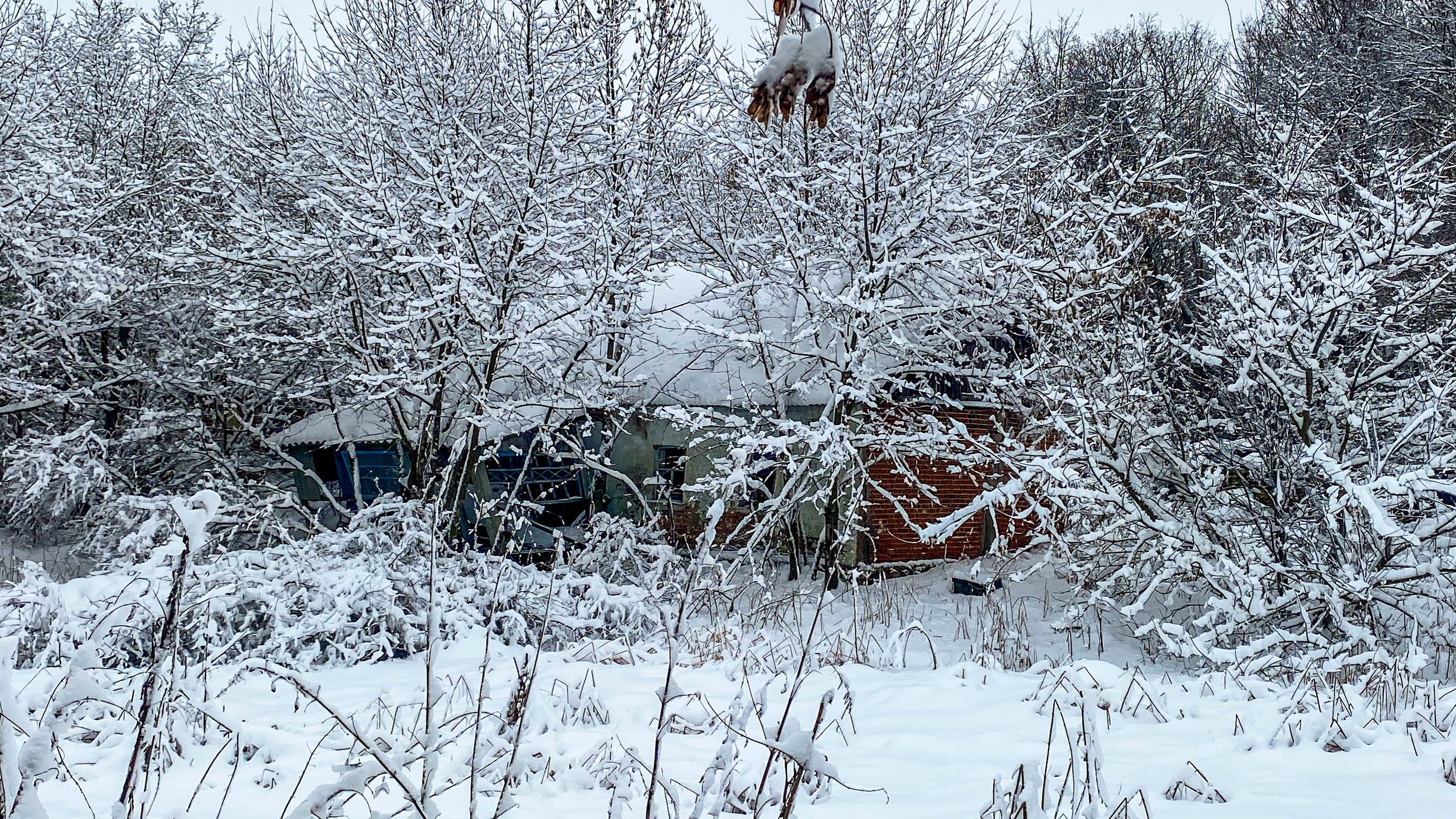 Заброшенный дом в лесу. Напугались, когда заходили в него смотреть онлайн