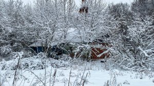Заброшенный дом в лесу. Напугались, когда заходили в него