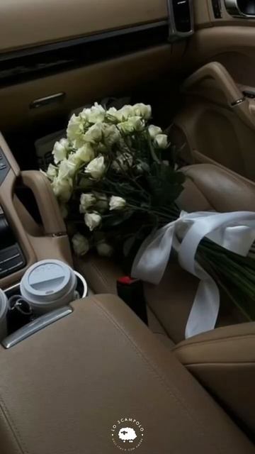 #шью #какшить #ткани #шитье смотреть онлайн