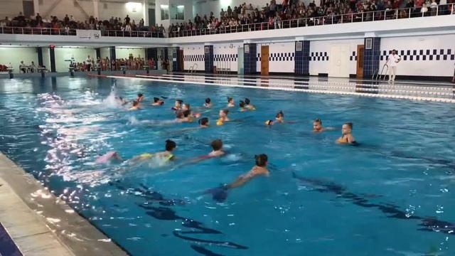 Показательные выступления по синхронному плаванию . Севастополь смотреть онлайн