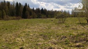 МТЗ 82 ВСПАШКА ПОЛЯ ,СЕЕМ ОВЁС .