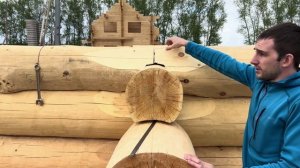 Обзор свежего сруба по технологии сбора Канадская чаша на раннем этапе строительства