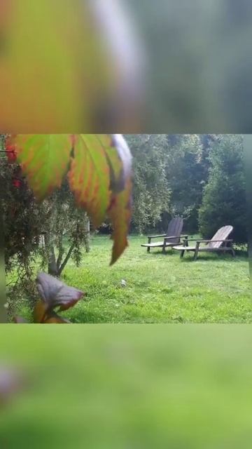 Отдых ЗИМОЙ в усадьбе Черничка в Витебской области! #а?