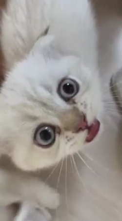 🥳 с днем рождения, Леля 🎈