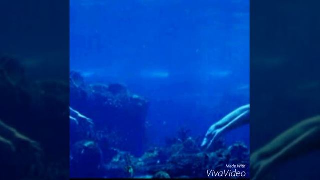 Еслиб случилось чудо смотреть онлайн