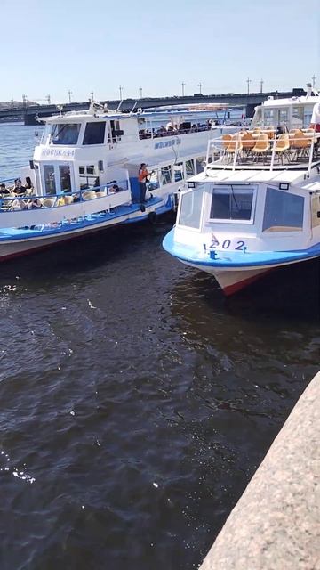 К Саше В Баню#Санкт Петербург смотреть онлайн