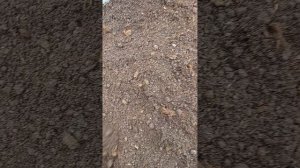 Делаем землю чернозем
