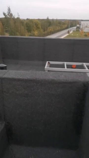 Устройство плоской кровли п.Колтуши кпп