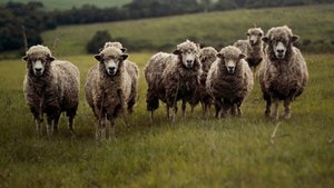 Когда очень страшно. Мир танков. Приколы