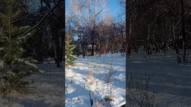 Солнечный день☀☀☀. 13.11.2022. Иркутск. смотреть онлайн