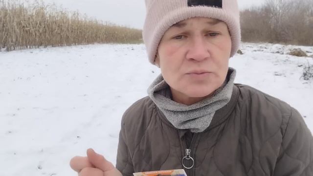 Для чого сіяти ПОМІДОРИ на ЗИМУ❓ПЛЮСИ і МІНУСИ  цього