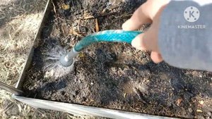 Подготовка грядок к зиме после сбора урожая