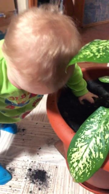 Началось 30/4/24 #лев #семья #земля #внук смотреть онлайн