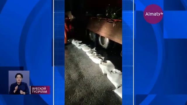 Алматыда толассыз жауған жаңбыр салдарынан ағаштар құлап, көшелерді су басты (15.05.20)