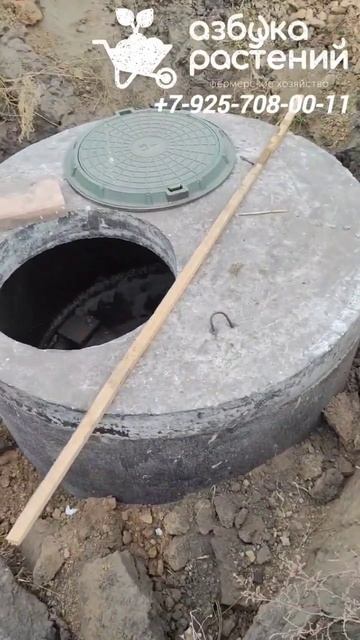 Засыпали гальку в скважины.#дача#растения#саженцы#пит? смотреть онлайн