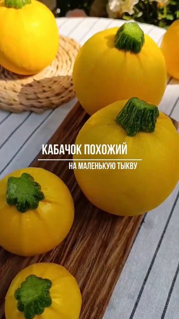 Кабачок Амарил #садыроссии #сад #дача#кабачок смотреть онлайн