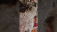 А на что это похоже?