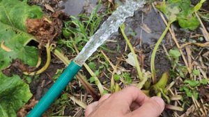 Прокачка скважины до чистой воды