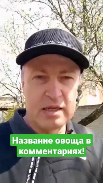 Полезный овощ с огорода! смотреть онлайн