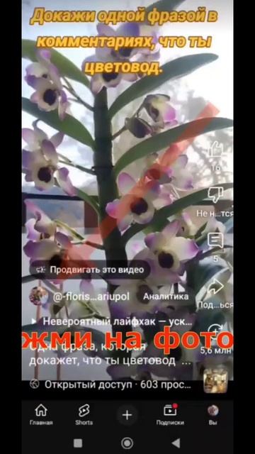 КАК ТАКОЕ ВОЗМОЖНО?Светящиеся растения!Ночной сад буд