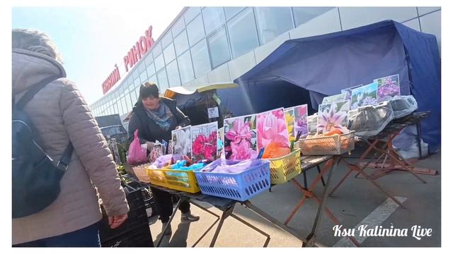 🛒 ХАРЬКОВ ~ ВЕСЕННИЙ РЫНОК ~ ОПТОВЫЙ РЫНОК - КОННЫЙ РЫН