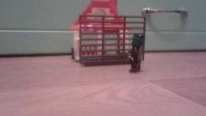 Вор | Анимация