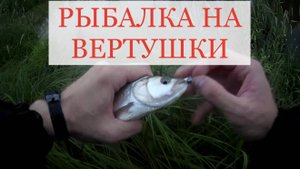 Ловля на спиннинг с берега. Рыбалка на вертушки летом 2024