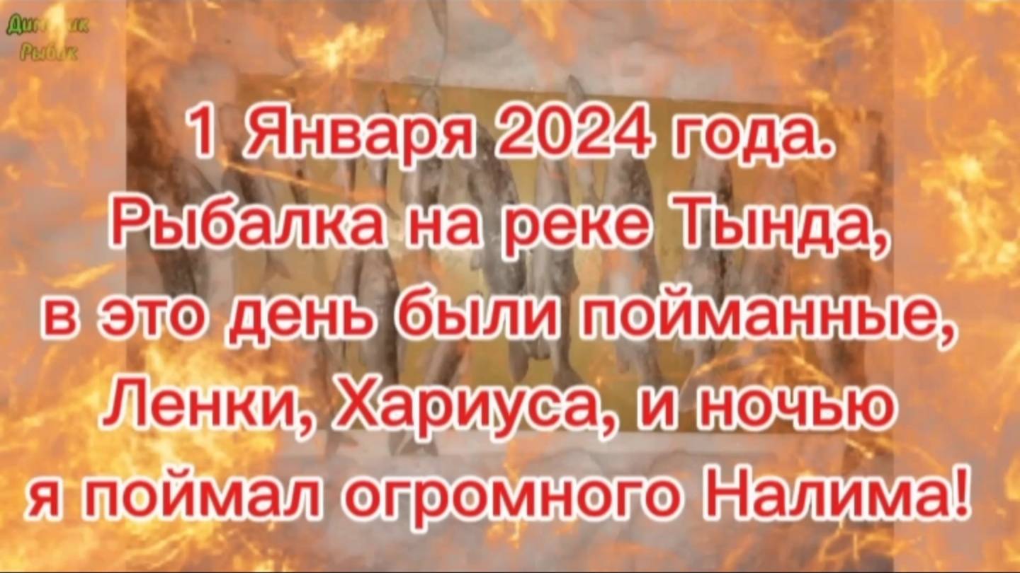 Зимняя рыбалка. 
1 Января 2024года