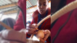 Добрый кубанский влог наше утро петровчанка #garden #gardenli