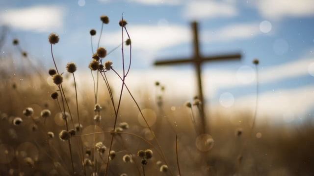 ☦️❤ДАР ЖИЗНИ!!!❤🕊️