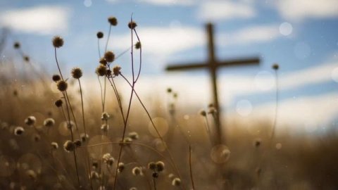 ☦️❤ДАР ЖИЗНИ!!!❤🕊️