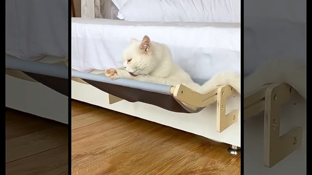 Гамак для кошек