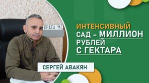 Интенсивный сад - миллион рублей прибыли с гектара | История ООО "Рассвет