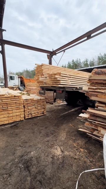 Лучшая пилорама🪵 #брус #дерево #доска #ель #пиломатери смотреть онлайн