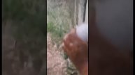 Китайский град