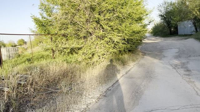 Пошел послушать соловья и хор жаб , и просто поговорить про жизнь