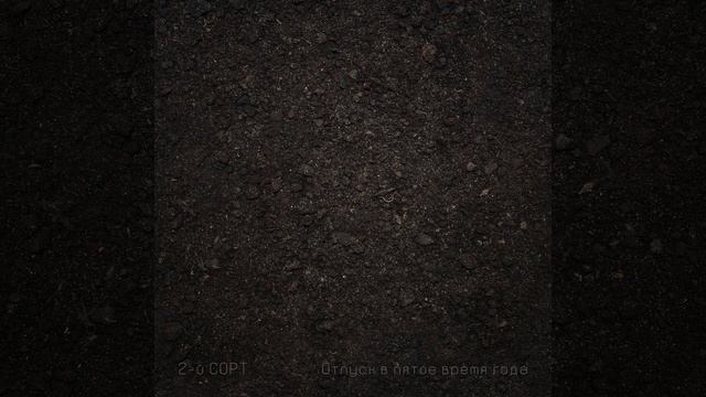 Простые движения смотреть онлайн