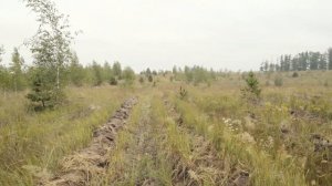 Агроуход в Воронежской области 27 июня 2023 года