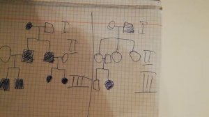 Уголок биологии. Определение типа наследования по генеалогическому древу.