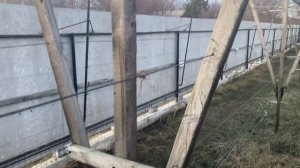 Шпалера для винограда (из дерева).