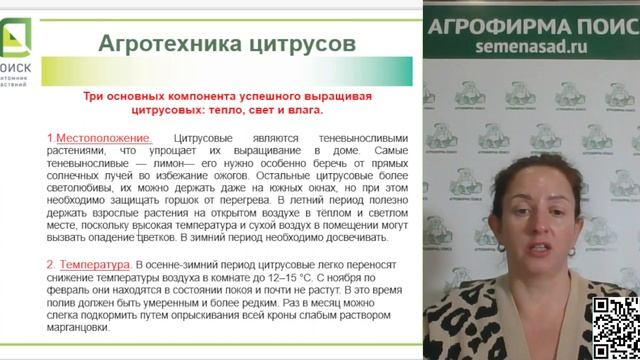 Вырастить цитрусовые комнатные растения дома - легко! смотреть онлайн