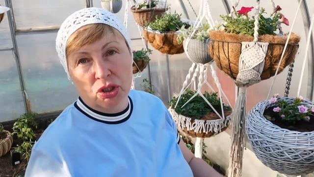 Цветы, которые я буду сажать в кашпо всегда. Планы на 202