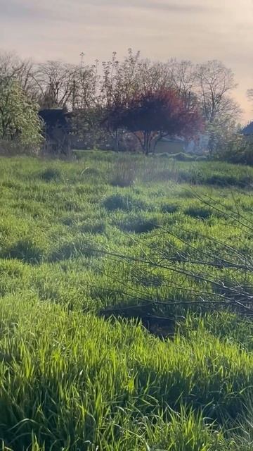 Весной всегда хочется перемен 💕 #shorts #рекомендации #с? смотреть онлайн