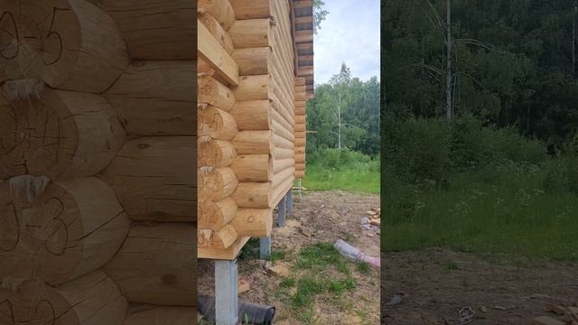 28 августа 2024 г. смотреть онлайн