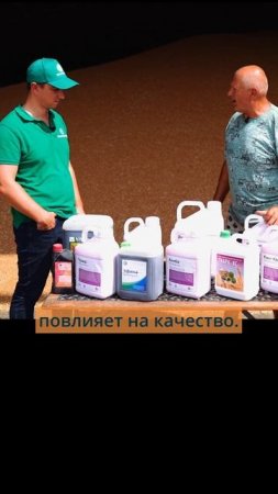 Микроэлементы добавляем к пшенице. Селитра вместе с обработкой.