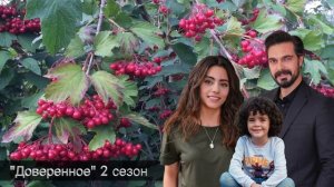 ДОВЕРЕННОЕ 264 серия. Рассвет и первая ночь Ямана с Сехер!